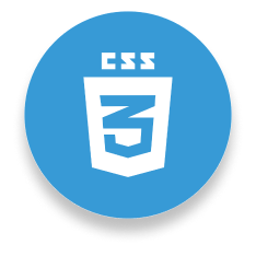 css3